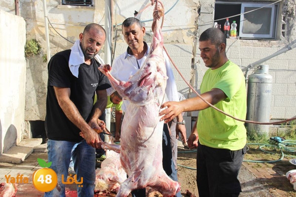 dabe7 ludj31 (3).JPG